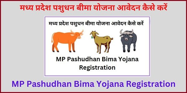 MP Pashudhan Bima Yojana Registration